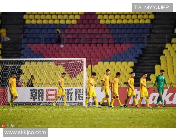 里昂与顿涅茨克矿工历史交锋记录分析及战绩回顾